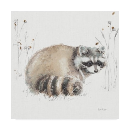 Lisa Audit 'Woodland Walk X Raccoon' Canvas Art,14x14